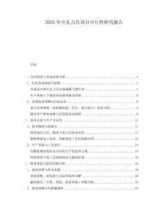 2025年開孔刀具項目可行性研究報告
