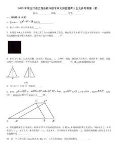 2025年黑龍江省蘭西縣初中數學單元測驗題庫大全及參考答案（新）