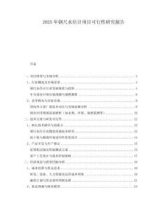 2025年鋼尺水位計項目可行性研究報告