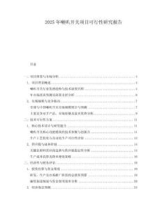 2025年喇叭開關(guān)項目可行性研究報告