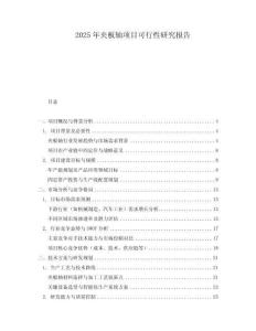 2025年夾板軸項(xiàng)目可行性研究報(bào)告