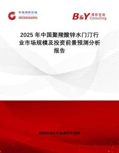 2025年中國聚羧酸鋅水門汀行業市場規模及投資前景預測分析報告