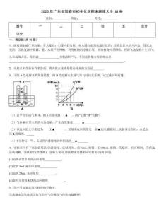 2025年廣東省陽春市初中化學期末題庫大全AB卷