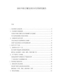 2025年桔子罐頭項(xiàng)目可行性研究報(bào)告