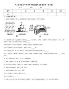 四川省高縣初中化學(xué)期末精品題庫及參考答案（模擬題）