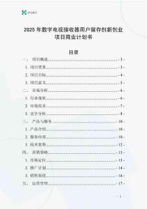 2025年數字電視接收器用戶留存創新創業項目商業計劃書
