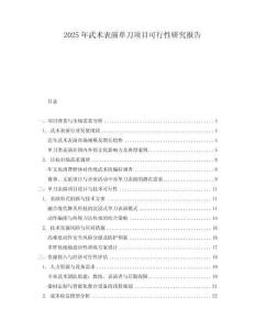 2025年武術(shù)表演單刀項(xiàng)目可行性研究報(bào)告