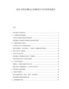 2025年阻尼蝶式止回閥項目可行性研究報告