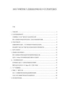 2025年銅管倒立式圓盤拉伸機項目可行性研究報告