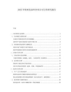 2025年轉杯紡油絲紗項目可行性研究報告
