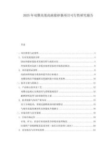 2025年雙錐高效高濃除砂器項目可行性研究報告