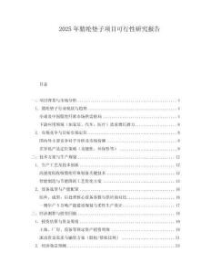 2025年腈綸墊子項目可行性研究報告
