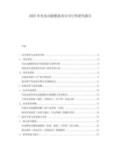 2025年光電功能模塊項目可行性研究報告