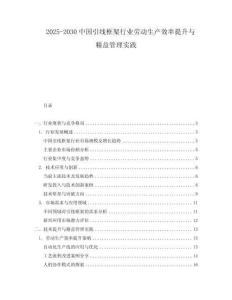 2025-2030中國引線框架行業(yè)勞動生產(chǎn)效率提升與精益管理實踐