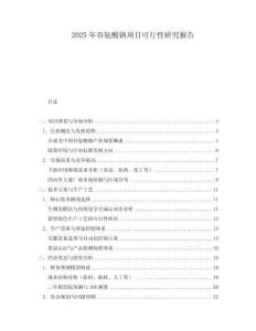 2025年谷氨酸鈉項目可行性研究報告