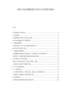 2025年尖尾棘輪扳手項目可行性研究報告