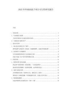2025年外球面滾子項目可行性研究報告