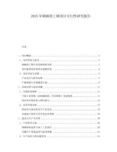 2025年鋼柄鉗工錘項目可行性研究報告