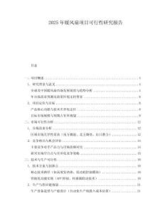 2025年暖風扇項目可行性研究報告