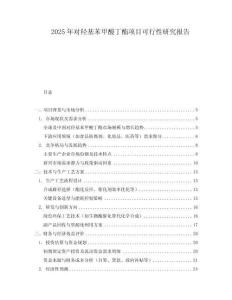 2025年對(duì)羥基苯甲酸丁酯項(xiàng)目可行性研究報(bào)告