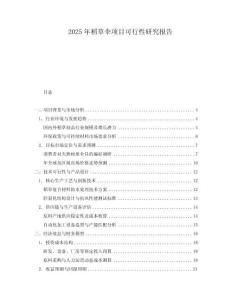 2025年稻草傘項目可行性研究報告
