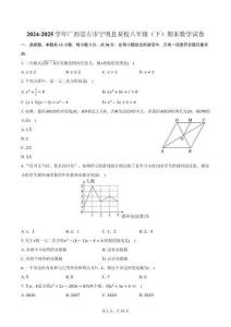2024-2025學年廣西崇左市寧明縣某校八年級（下）期末數學試卷（含解析）
