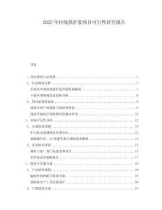 2025年拉線保護套項目可行性研究報告