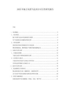 2025年振子內(nèi)置馬達(dá)項(xiàng)目可行性研究報(bào)告