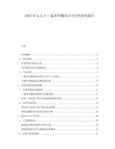 2025年234-三氟苯甲酸項(xiàng)目可行性研究報(bào)告