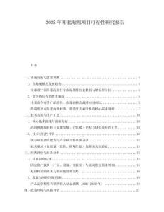 2025年耳套海綿項(xiàng)目可行性研究報(bào)告