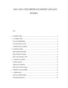 2025-2030中國(guó)引線框架企業(yè)并購(gòu)重組與資本運(yùn)作研究報(bào)告