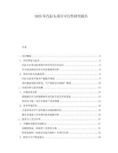 2025年汽缸頭項目可行性研究報告