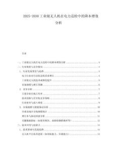 2025-2030工業(yè)級無人機(jī)在電力巡檢中的降本增效分析
