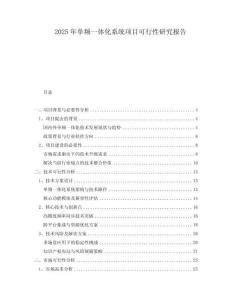 2025年單頻一體化系統(tǒng)項(xiàng)目可行性研究報(bào)告