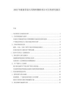 2025年碳素管道專(zhuān)用塑料顆粒項(xiàng)目可行性研究報(bào)告
