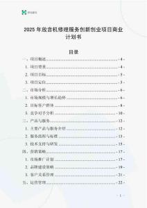 2025年放音機(jī)修理服務(wù)創(chuàng)新創(chuàng)業(yè)項(xiàng)目商業(yè)計(jì)劃書