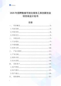 2025年招聘數(shù)據(jù)可視化報告工具創(chuàng)新創(chuàng)業(yè)項目商業(yè)計劃書