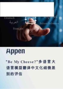 “Be My Cheese”多語言大語言模型翻譯中文化細(xì)微差別的評估