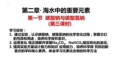 碳酸鈉與碳酸氫鈉2025-2026學年高一上學期化學人教版（2019）必修第一冊+