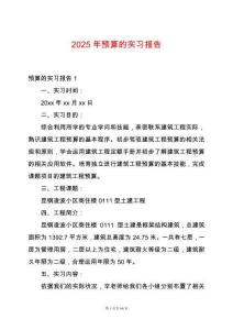2025年預算的實習報告