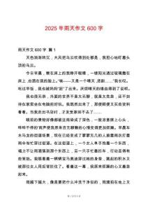 2025年雨天作文600字