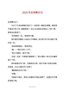 2025年足球賽日記