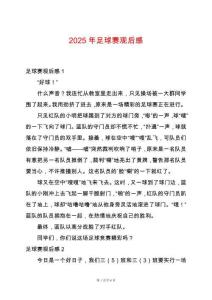 2025年足球賽觀后感