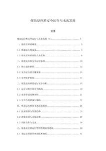 熔鹽反應堆安全運行與未來發(fā)展