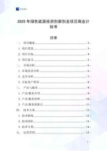 2025年綠色能源投資創(chuàng)新創(chuàng)業(yè)項目商業(yè)計劃書