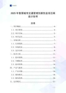 2025年智慧城市交通管理創新創業項目商業計劃書