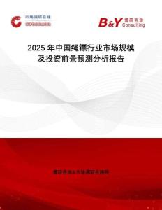 2025年中國繩鏢行業市場規模及投資前景預測分析報告
