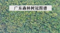 廣東森林樹冠圖譜