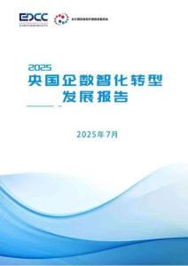 2025央國(guó)企數(shù)智化轉(zhuǎn)型發(fā)展報(bào)告
