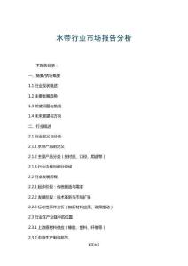 水帶行業市場報告分析
